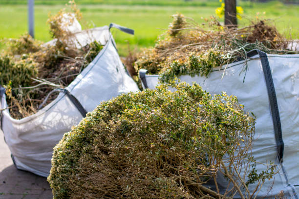 Best Demolition Debris Removal  in San Felipe, TX